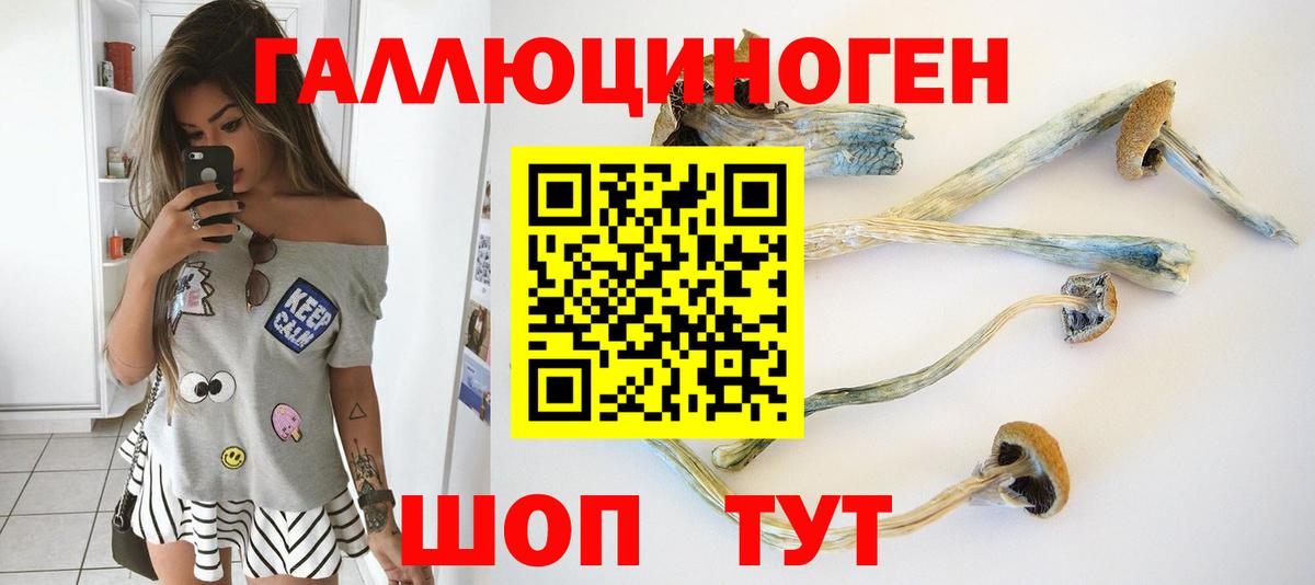 Псилоцибиновые грибы прущие грибы Красноуфимск